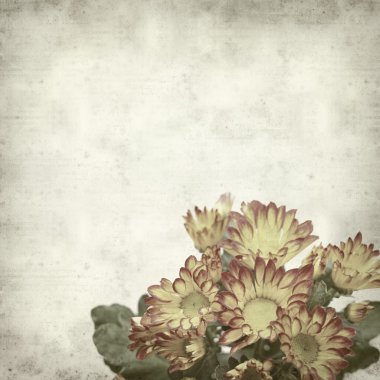 desenli eski kağıt arkaplan  