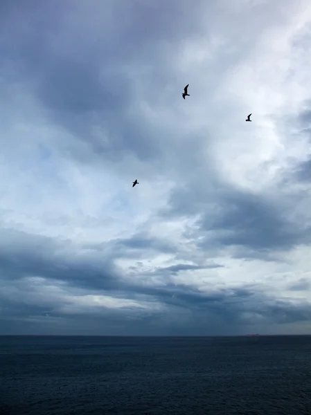 Dramático cielo tormentoso sobre el océano - Islas Canarias, tormenta de no —  Fotos de Stock
