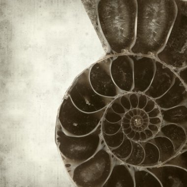 desenli eski kağıt arkaplan  