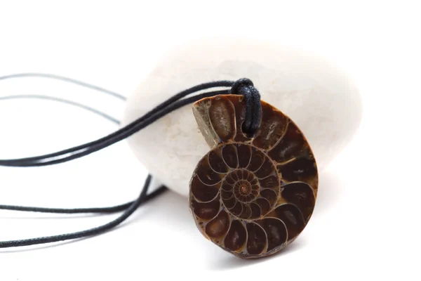 Collana con ammonite — Foto Stock