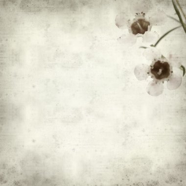 desenli eski kağıt arkaplan