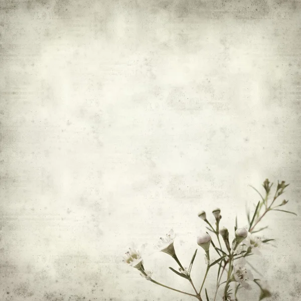 Textured old paper background — Stock Photo, Image