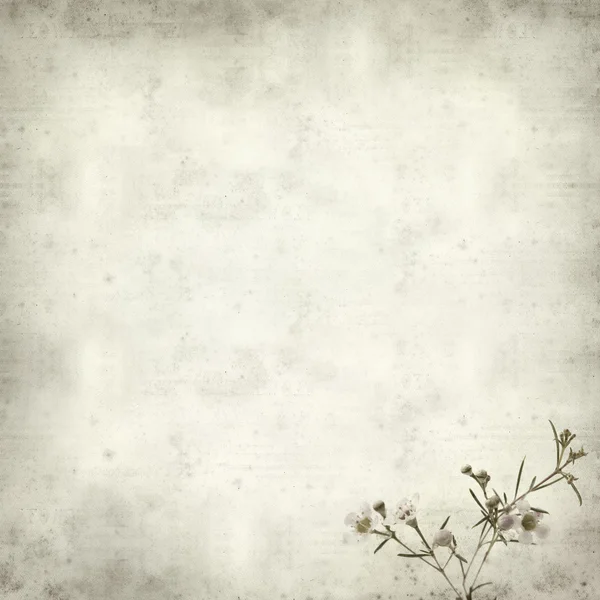 Textured old paper background — Stock Photo, Image