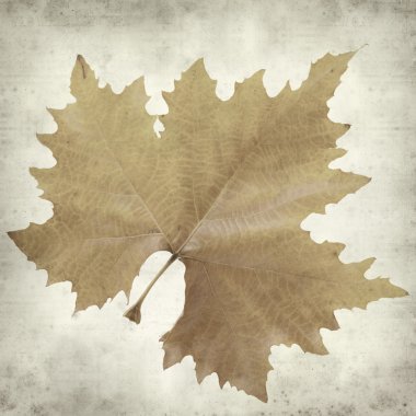 desenli eski kağıt arkaplan  