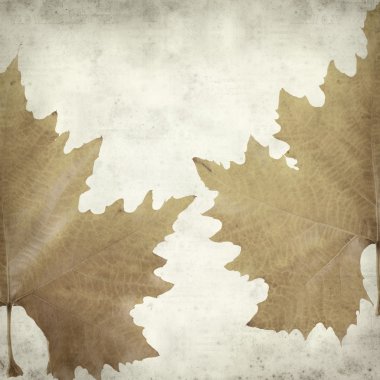 desenli eski kağıt arkaplan  