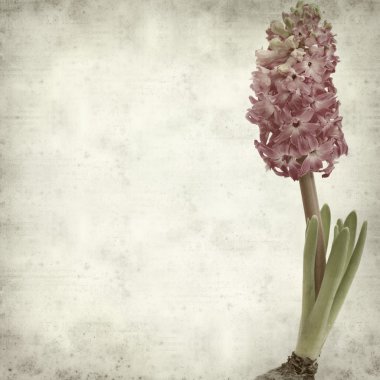 desenli eski kağıt arkaplan  