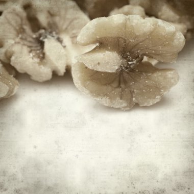 desenli eski kağıt arkaplan  