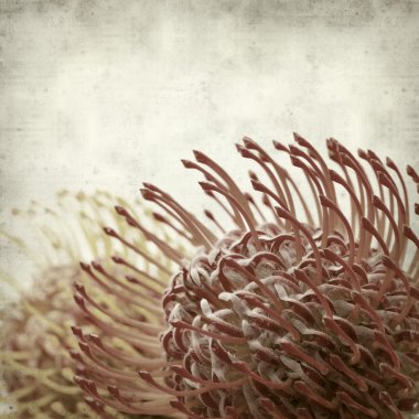 desenli eski kağıt arkaplan  