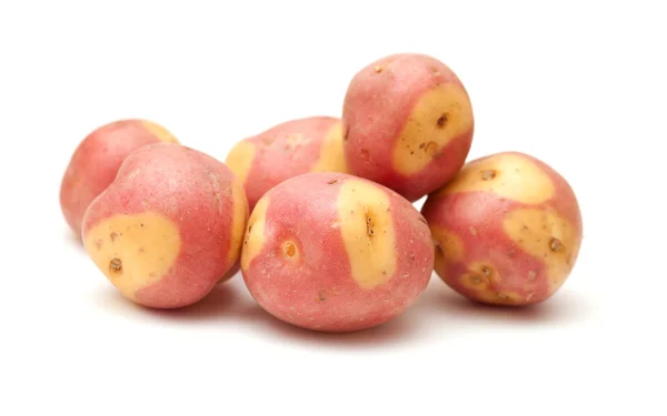 stock image Canary islands potatoes