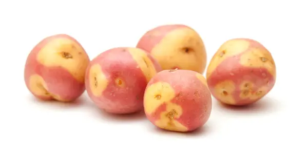 Patatas de Canarias — Foto de Stock