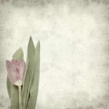 desenli eski kağıt arkaplan  