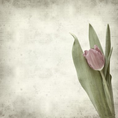 desenli eski kağıt arkaplan  