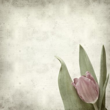 desenli eski kağıt arkaplan  