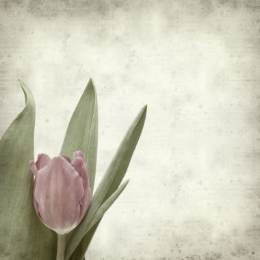 desenli eski kağıt arkaplan  