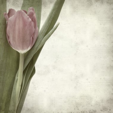 desenli eski kağıt arkaplan  