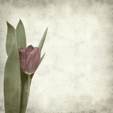 desenli eski kağıt arkaplan  