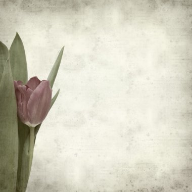 desenli eski kağıt arkaplan  