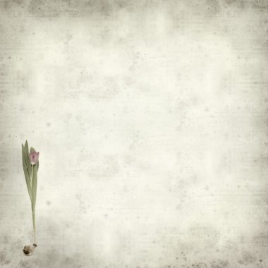 desenli eski kağıt arkaplan  