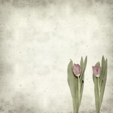 desenli eski kağıt arkaplan  