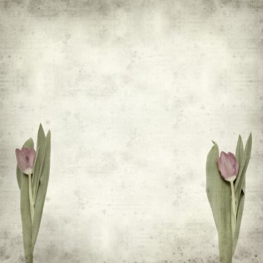 desenli eski kağıt arkaplan  