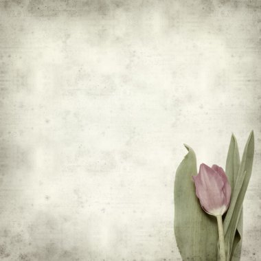 desenli eski kağıt arkaplan  