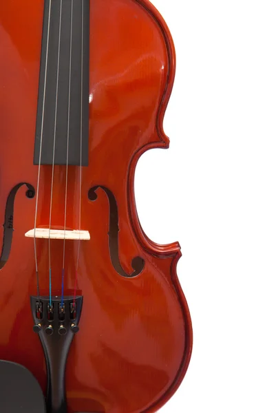 Violin isolated — Stock Photo, Image