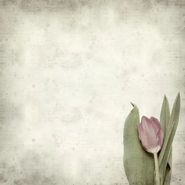 desenli eski kağıt arkaplan  