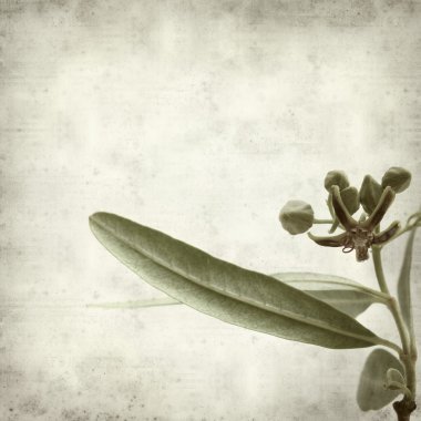 desenli eski kağıt arkaplan  