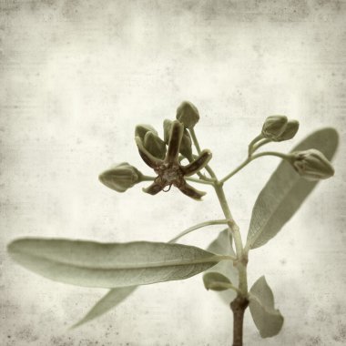 desenli eski kağıt arkaplan  