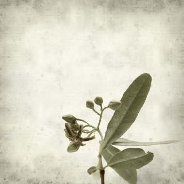 desenli eski kağıt arkaplan  