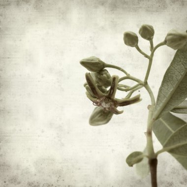 desenli eski kağıt arkaplan  