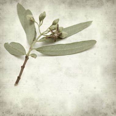 desenli eski kağıt arkaplan  