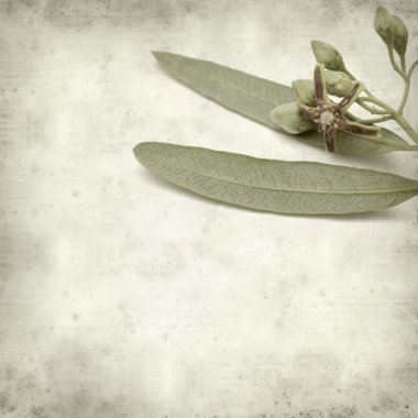 desenli eski kağıt arkaplan  