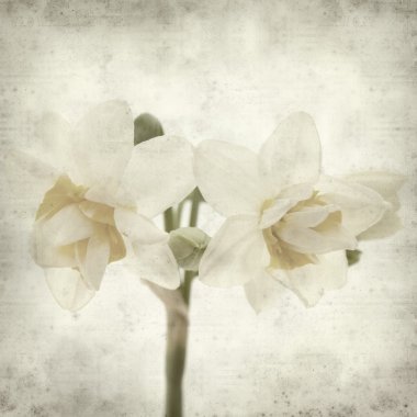 desenli eski kağıt arkaplan  