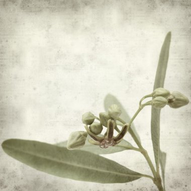 desenli eski kağıt arkaplan  