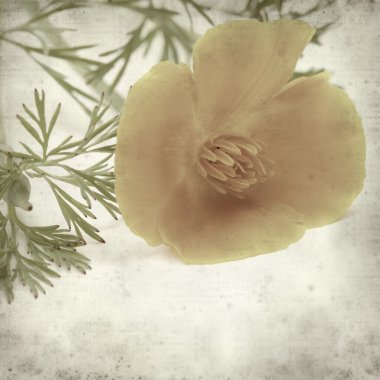 desenli eski kağıt arkaplan  