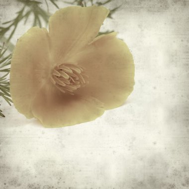 desenli eski kağıt arkaplan  