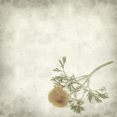 desenli eski kağıt arkaplan  