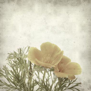 desenli eski kağıt arkaplan  