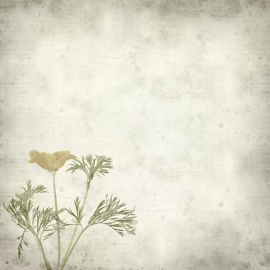 desenli eski kağıt arkaplan  