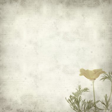 desenli eski kağıt arkaplan  