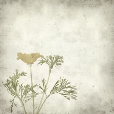 desenli eski kağıt arkaplan  