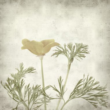 desenli eski kağıt arkaplan  