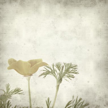 desenli eski kağıt arkaplan  