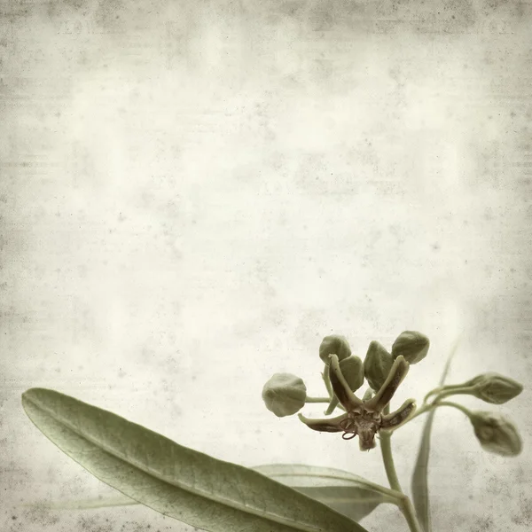 Textured old paper background — Stock Photo, Image