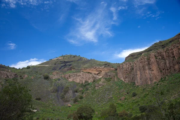 Gran Canaria, Caldera de Bandama después de las lluvias de invierno — Foto de Stock