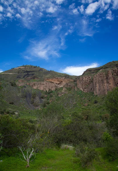 Gran Canaria, Caldera de Bandama após chuvas de inverno — Fotografia de Stock