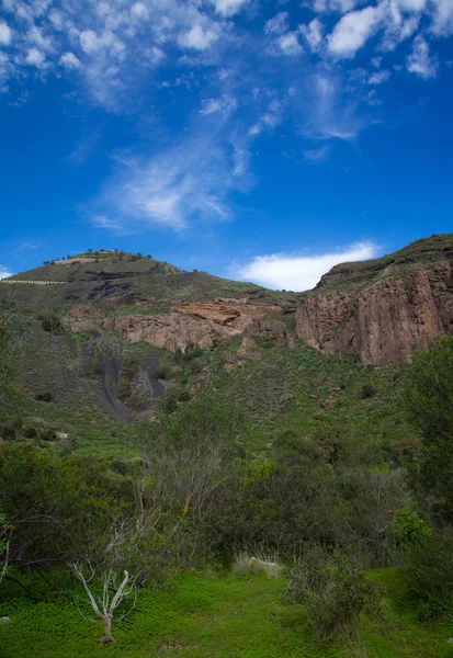 Gran Canaria, Caldera de Bandama na de winter regent — Stockfoto