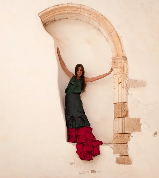 Flamenco and old church — Stock Photo, Image