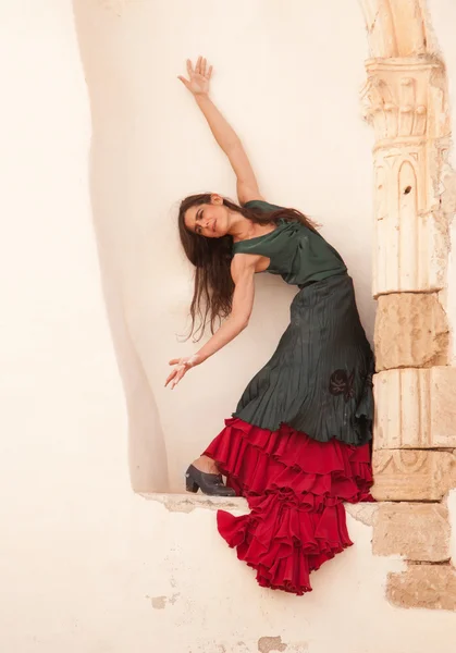 Flamenco and old church — Stock Photo, Image